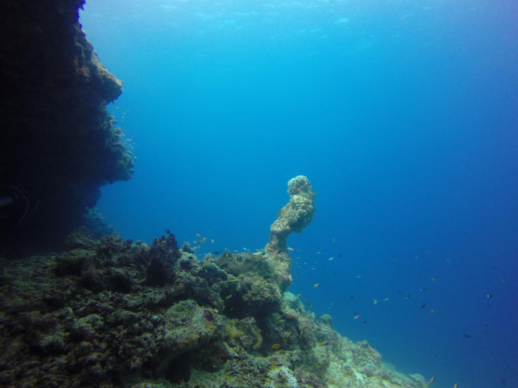 Chill Holidays Maldives Maamigili エクステリア 写真