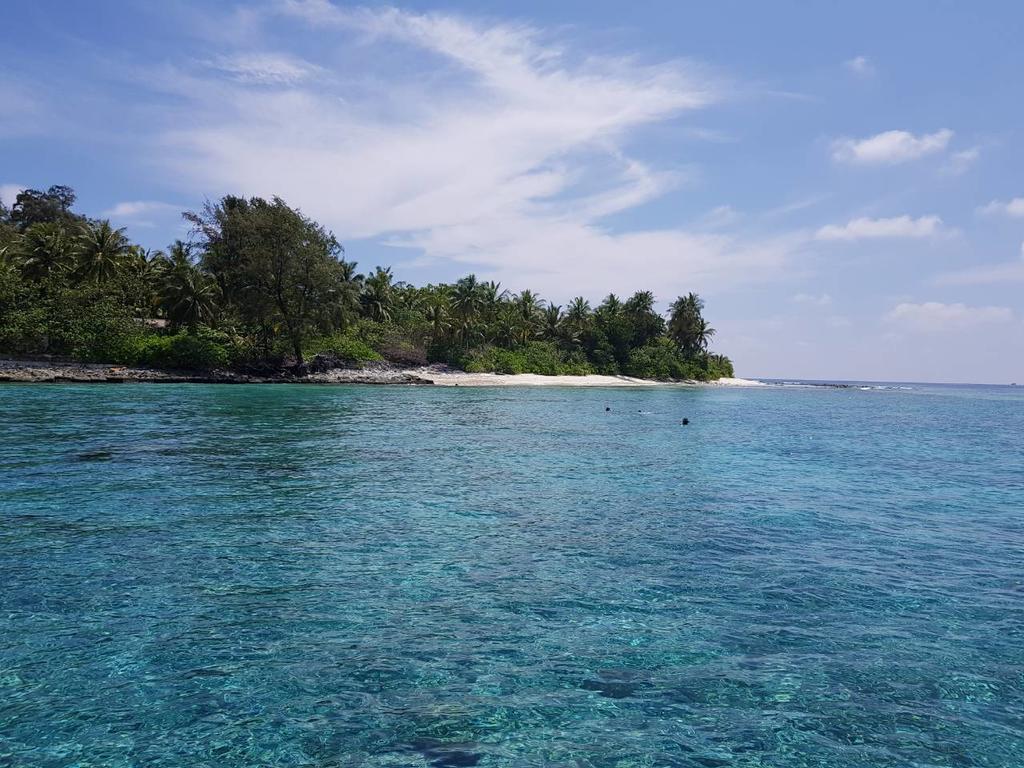 Chill Holidays Maldives Maamigili エクステリア 写真